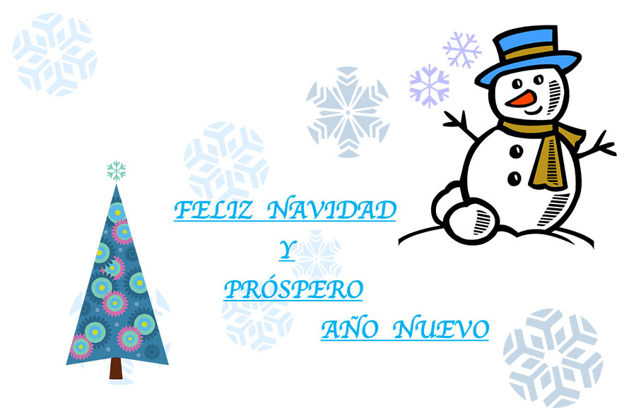 Lee más sobre el artículo Programa de Navidad 2024-2025