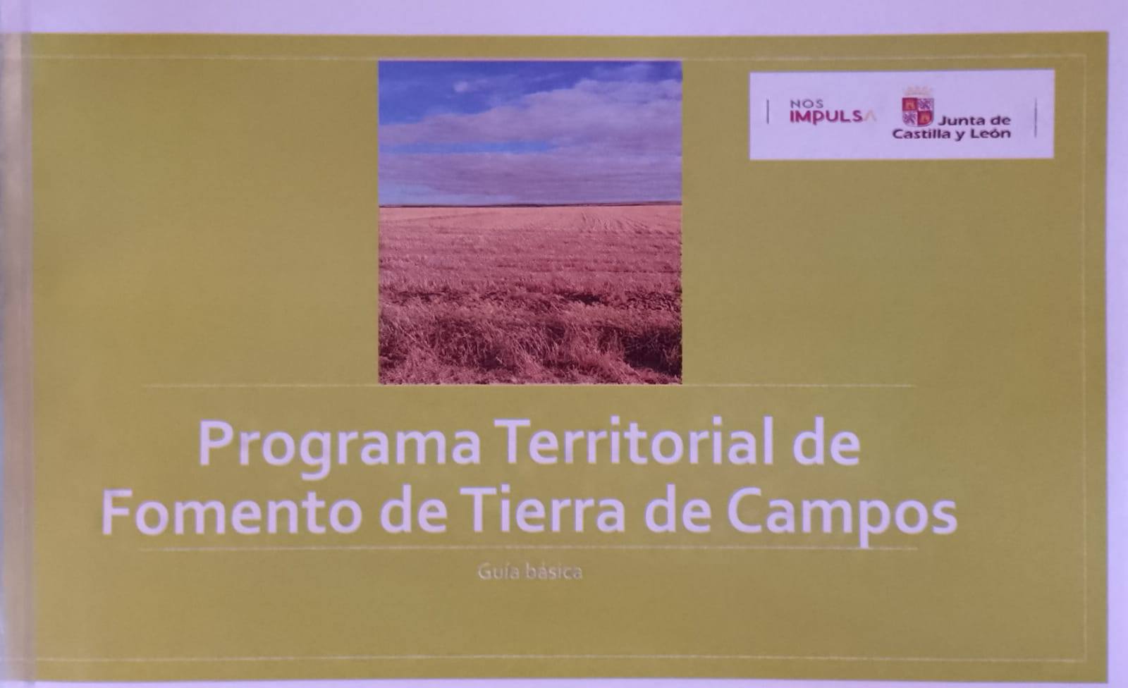 Lee más sobre el artículo Programa territorial de fomento de Tierra de Campos