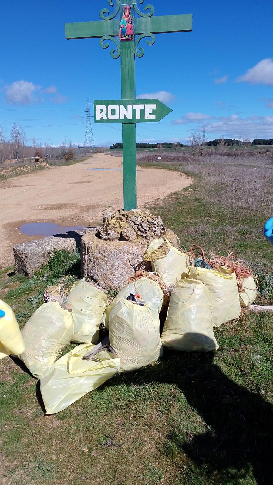 Lee más sobre el artículo Campaña Recogida de Basura