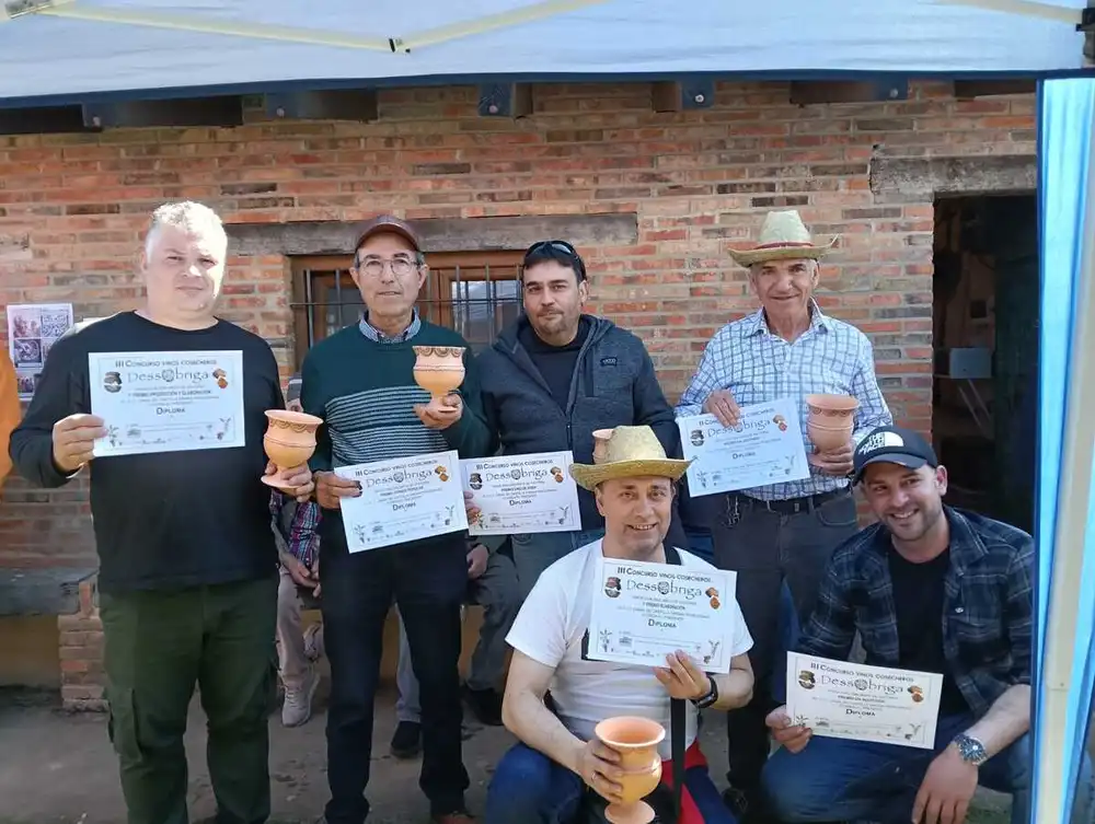 Lee más sobre el artículo Osorno elige los mejores vinos cosecheros entre 18 inscritos