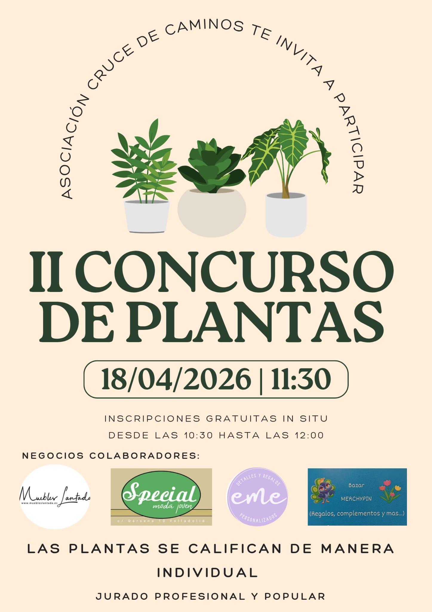Lee más sobre el artículo II Concurso de Plantas